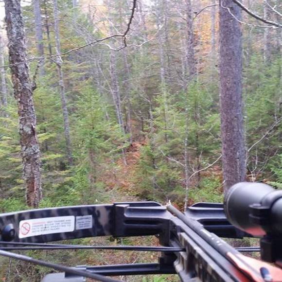 Meet your Posher, Cliff - Picture 1 of 1